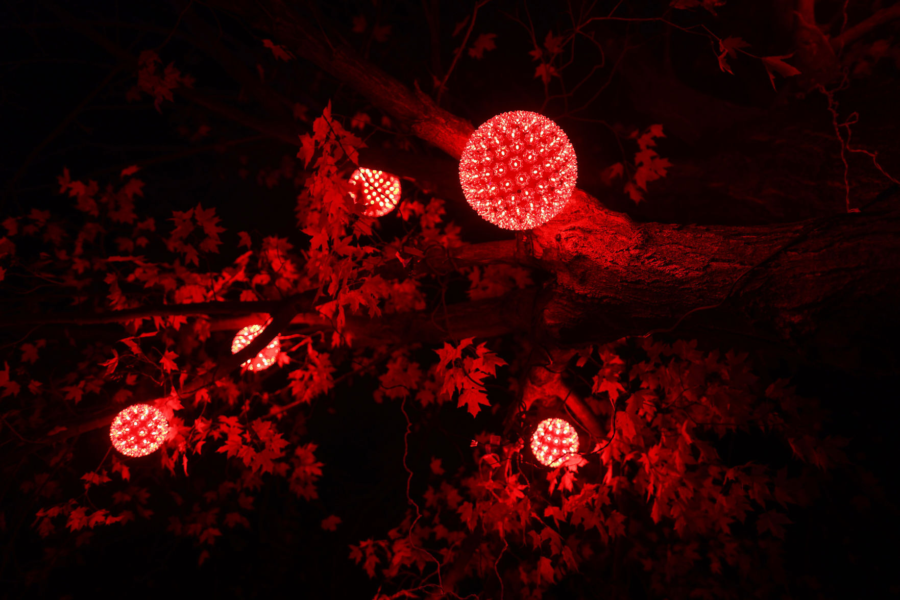 JVG_211121_LIGHTS24
